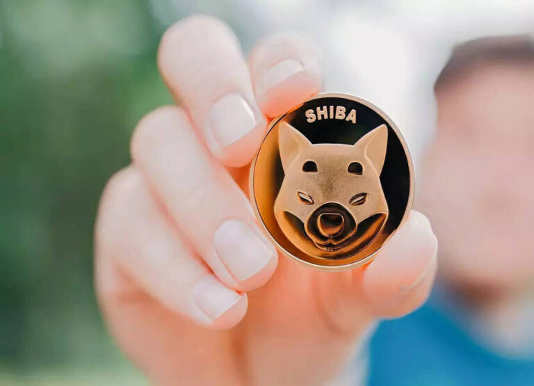 Shiba Inu Fintech revolution