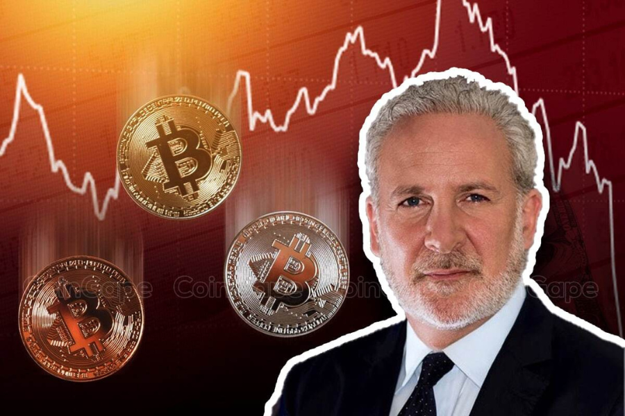 Peter Schiff Goes From Bitcoin Hater to NFT Art Collector