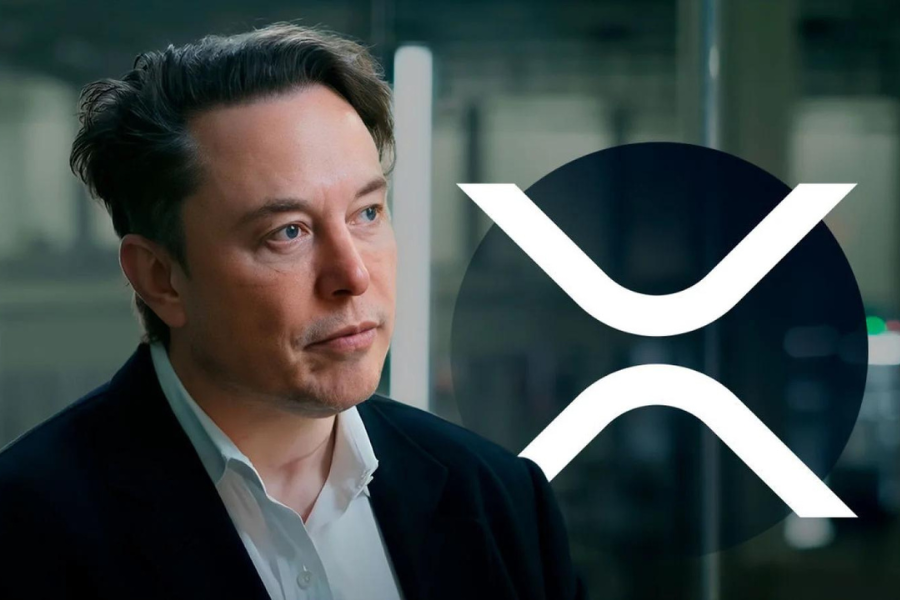 Elon Musk's Mystifying Post Enthuses XRP Army Amidst Legal Turmoil